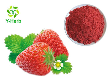 100% Pure Fresh Fruit Freeze Dried Powder Lyophilized Strawberry Powder