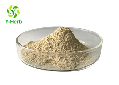 Bulk Selenomethionine Food Grade Extract 2000ppm Selenium Enriched Yeast Powder