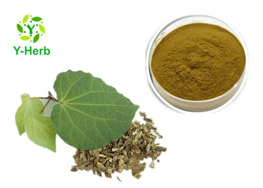 Medicinal Kava Kavalactone Extract Powder 30% 70% Pure Piper Methysticum Extract