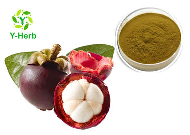 Natural Xanthones 10%-90% Anti Aging Peel Powder Alpha Mangostin Mangosteen Extract