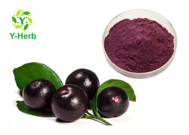 Brazil Acai Berry Powdered Fruit Juice Concentrate Organic High Protein Value