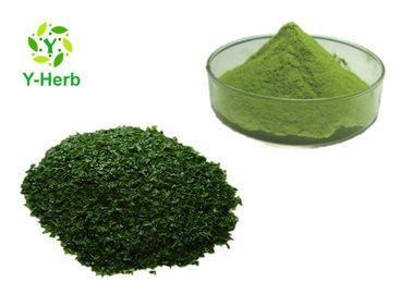 Food Grade Vegetable Extract Powder Natural Ground Nori Flavor Taste Seaweed Powder