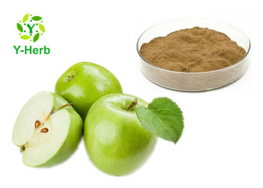 Factory Supply Bulk Fruit Supplement Unripe Green Apple Extract Polyphenol Powder