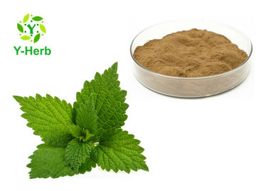 Fine Nettle Herbal Extract Powder Organic Urtica Dioica Leaf Root Beta Sitosterol