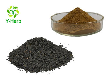 Chinese Chive Seeds Powder  Semen Allii Tuberosi Organic Leek Seed Extract