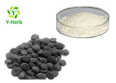5-HTP Monomer Powder Griffonia Simplicifolia Seed Extract 98% 99% 5-Hydroxytryptophan