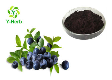 Anthocyanidin European Bilberry Extract Powder 36% Anthocyanosides 25% Anthocyanins