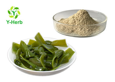 Sea Kelp Herbal Extract Powder 10% Fucoxanthin 85% Fucoidan Laminaria Seaweed