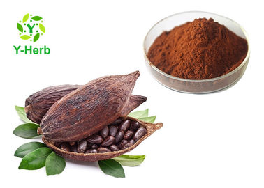 10% 20% Theobromine Powder Natural Seed Polyphenols Alkalized Cocoa Bean Extract