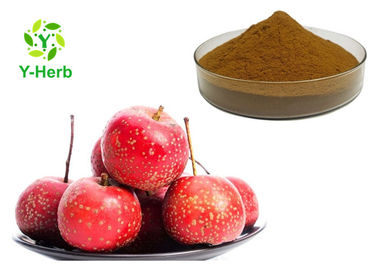 Fructus Crataegi Leaf P.E. Hawthorn Berry Extract Flavones Powder Vitexin