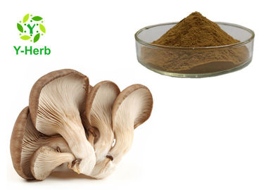 Oyster Mushroom Extract Polysaccharides Powder Pleurotus Ostreatus Beta Glucan