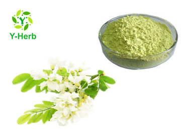 Organic Sophora Japonica Fruit Flower Extract Rutin NF11 DAB10 EP8 Powder 95%