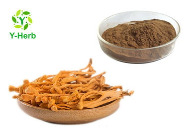 Cordyceps Militaris Mushroom Extract Powder Cordycepin Polysaccharides Adenosine