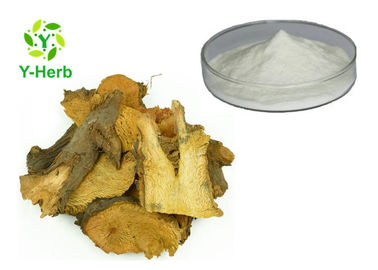 Giant Knotweed Root Polygonum Cuspidatum Extract Resveratrol Powder 50% 98% 99%