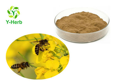High Purity Honey Bee Propolis Powder Food Grade Nutritional Supplement