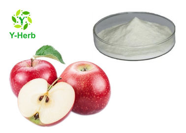 Organic Apple Cider Vinegar Extract Powder / Apple Vinegar Powder For Weight Loss