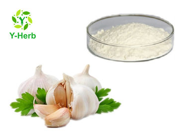 Allium Sativum Seed Herbal Extract Powder Aged Odorless Garlic Extract Allicin Alliin Powder 1% - 10%