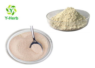 Off White Fine Avena Sativa Seed Straw Extract 70% Oat Flour Yeast Beta D Glucan Powder