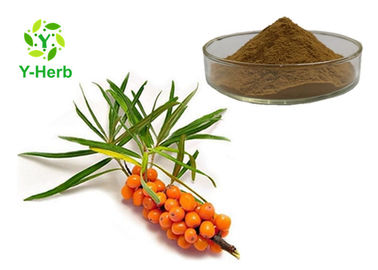 Sea Buckthorn Berry Leaf Herbal Extract Powder Brown Fine Powder TLC Test Method