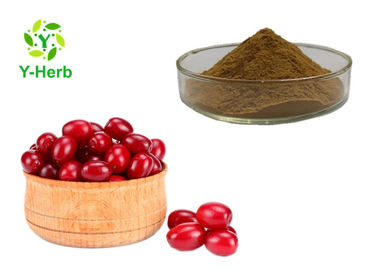 Dogwood Fruit Asiatic Cornelian Powder Fructus Corni Cornus Officinalis Extract