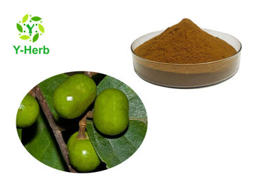 Reddish Brown Herbal Extract Powder Pygeum Africanum Bark Extract Total Sterols Phytosterols Powder