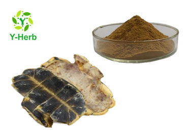 Chinemys Reevesii Herbal Medicine Powder Pure Turtle Shell Extract 2 Years Shelf Life