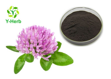 80 Mesh Herbal Red Clover Blossoms Extract Powder 20% Isoflavones Powder HPLC