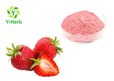 Food Grade Strawberry Extract Powder Organic Dietary Supplement For Beverage