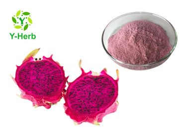 Water Soluble Herbal Extract Powder Organic Pitaya Powder 80 Mesh / 100 Mesh