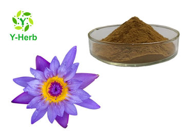 Pure Flower Herbal Extract Powder Adjust Blood Lipids With TLC Test Method