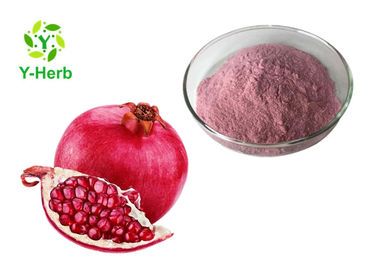 Pomegranate Herbal Extract Powder Water Soluble Pink Color Instant Beverage Ingredients