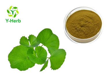 80 Mesh Centella Herbal Extract Powder 10% - 95% Hydrocotyle Asiatica Powder