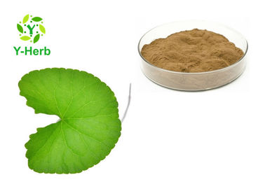 CAS 16830-15-2 Herbal Extract Powder Centella Asiatica Extract Total Triterpenes For Detoxication