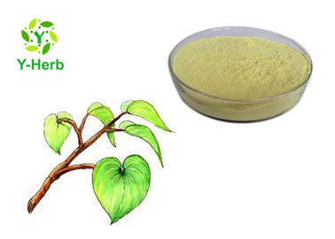 Cas 9000-38-8 Kava Powder 100% Pass 80 Mesh Piper Methysticum Powder