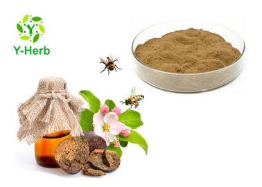 Water Soluble Propolis Bulk Food Grade Brown Fine Powder 10% - 90% Uv Test