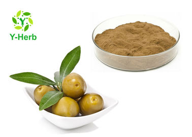 CAS 32619-42-4 Organic Olive Leaf Extract 40% Oleuropein Powder For Heart Health