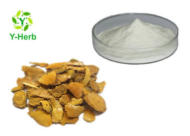 Natural Resveratrol Herbal Extract Powder Giant Knotweed Extract Powder