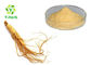 10%-80% Ginsenosides Natural Cosmetic Ingredients  Panax Ginseng Leaf  Root Extract
