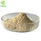 Bulk Selenomethionine Food Grade Extract 2000ppm Selenium Enriched Yeast Powder