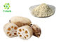 Meal Replacement Powder Food Grade Extract Pure Natural Lotus Root Powder