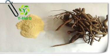 70% Kava Root Powder Kava Extract Kavalactones Sleeping Improvement Ingredients