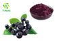 Factory Supply Aronia Chokeberry 5%-35% Bulk Aronia Berry Extract Anthocyanin