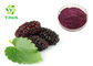 Mulberry Fruit Powdered Fruit Juice Concentrate Bulk Beverage Use