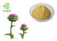 CAS 65666-07-1 Water Soluble 80% Silymarin Silybin Powder Milk Thistle Seed Extract
