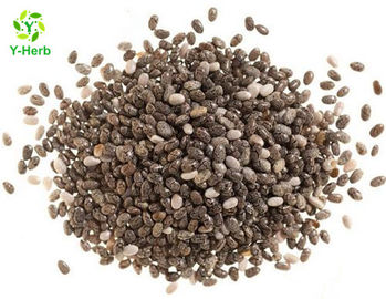 Pure Chia Seed Herbal Extract Powder Natural Source Of Protein Dietary Fiber And Omega 3