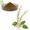 Cimicifuga Racemosa Powder 2.5% 5% 8% Black Cohosh Extract Triterpenes Glycosides