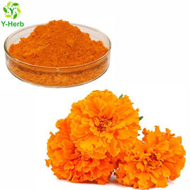 5% 20% 40% Tagetes Erecta Flower Extract Phylloxanthin Lutein And Zeaxanthin Powder