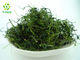 Organic Leaf Gynostemma Pentaphyllum Extract 20% 80% 95%  98% Gypenosides Powder