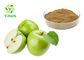 Unripe Green Apple Extract Powder Bulk 10% 30% Polyphenols Phloretin Phloridzin