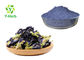 Dried Juice Tea Herbal Extract Powder Blue Butterfly Pea Flower Powder Food Pigment